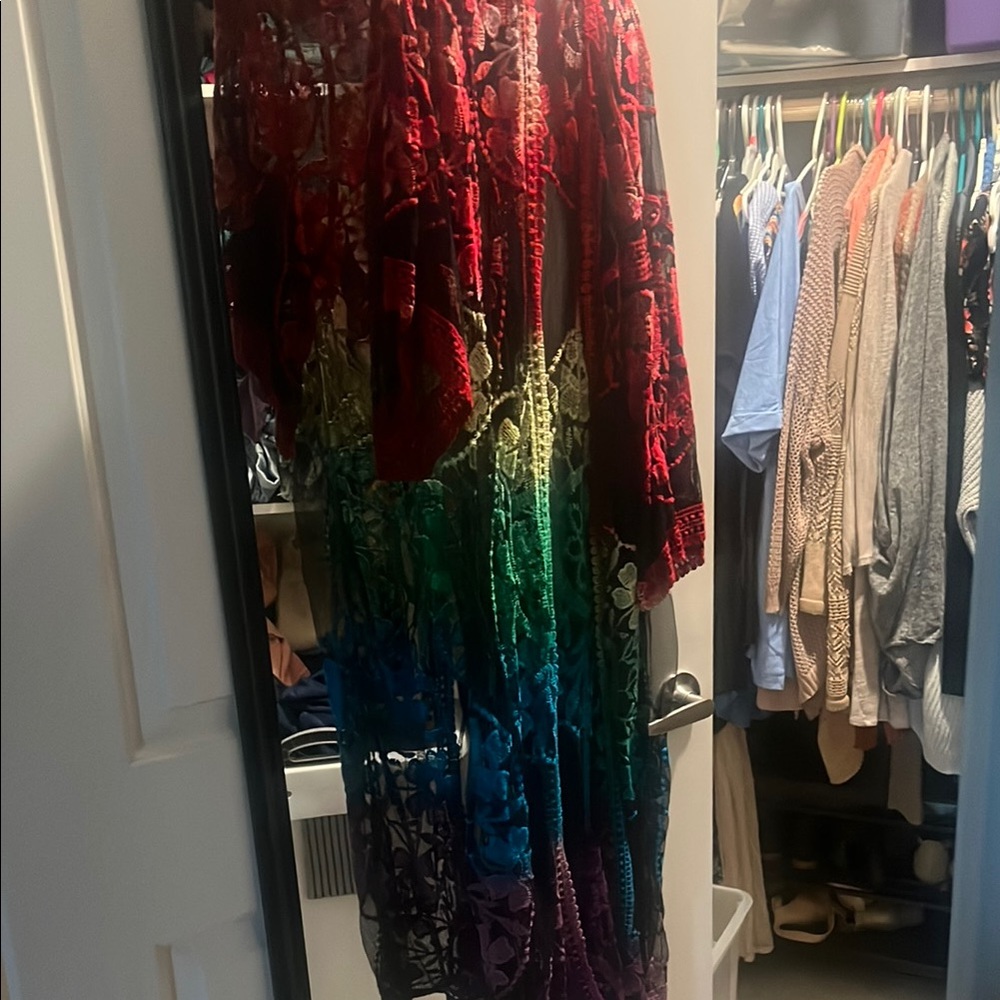 Multicolor Sheer Lace Dress